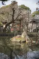 奈良の写真_724887