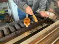 白川郷の写真_728690