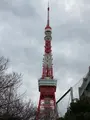 東京タワーの写真_734123