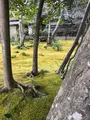 祇王寺の写真_734437