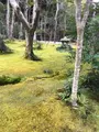 祇王寺の写真_734440