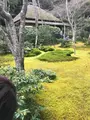 祇王寺の写真_734442