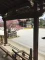 大覚寺の写真_734444