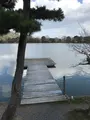 大覚寺の写真_734445