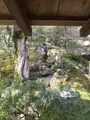 大覚寺の写真_734447