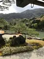 天龍寺の写真_734454