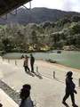 天龍寺の写真_734457