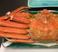 山代温泉 ゆのくに天祥の写真_735083