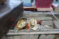 ミルキー鉄男のかき小屋 宇品店の写真_735327