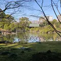 清澄庭園の写真_735345