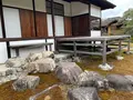 桂離宮の写真_737102
