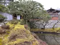 修学院離宮の写真_737136