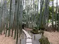 報国寺（竹寺）の写真_738100