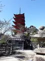 豊国神社（千畳閣）の写真_738127