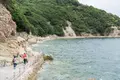 仙酔島の写真_738186