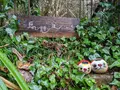 猫の細道の写真_738227