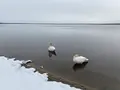 ウトナイ湖の写真_738581