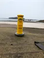 青島神社の写真_738690