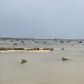 伊良部島の写真_739886