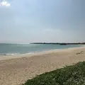 伊良部島の写真_739888