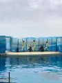 新江ノ島水族館の写真_740861