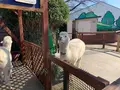 東武動物公園の写真_742559
