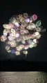 ハウステンボスの写真_743492