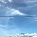 酔ごころの写真_743495