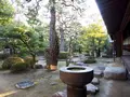 旧森川家住宅の写真_743810