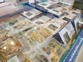 竹原港の写真_744219