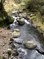 天安河原の写真_744723