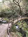 天安河原の写真_744727