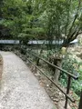 天安河原の写真_744728