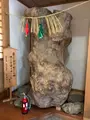 高千穂神社 神楽殿の写真_744735