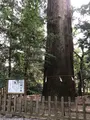 高千穂神社 神楽殿の写真_744738