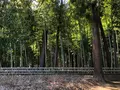 偕楽園の写真_745021