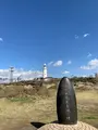 野島崎の写真_745737