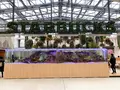 スターバックス よみうりランドHANA・BIYORI店の写真_748502