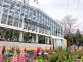 スターバックス よみうりランドHANA・BIYORI店の写真_748504