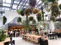 スターバックス よみうりランドHANA・BIYORI店の写真_748505