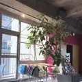manu coffee roasters クジラ店の写真_750484