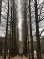 昌徳宮/チャンドックン/창덕궁の写真_751649