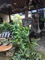Tanah Lotの写真_752161