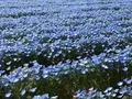 青ノ洞門の写真_752843