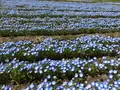 青ノ洞門の写真_752846
