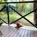 フローラルガーデンおぶせの写真_757861
