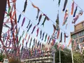 東京タワーの写真_758058