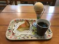 もみの木の写真_761231