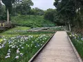 西の久保公園の写真_764918