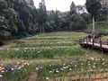西の久保公園の写真_764919